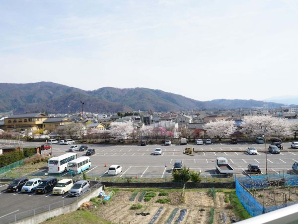 桜並木が見える景色