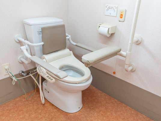 手すり付きの安全なトイレ