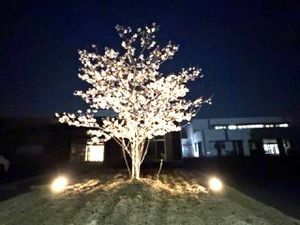 夜の施設外観  