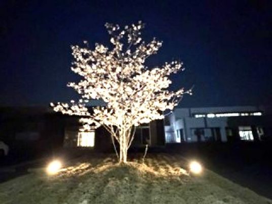 夜の施設外観  