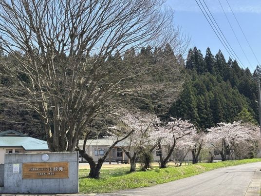 桜並木の庭