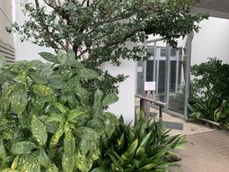植物に囲まれたエントランス