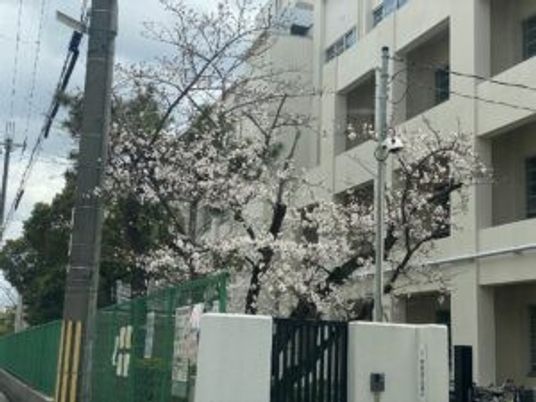 桜並木の建物外観  