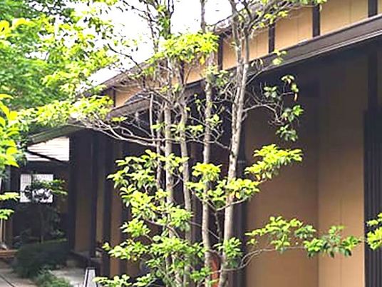 中庭の木々と建物  