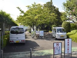 緑豊かな中庭風景