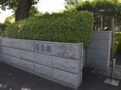 緑豊かな外観の看板
