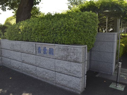 緑豊かな外観の看板