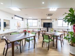 明るい居住空間