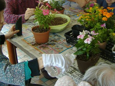 植物の手入れをする人々