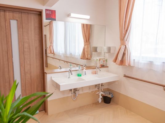 清潔な洗面台とミラー