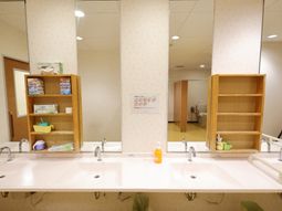 清潔な洗面台と鏡