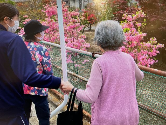 お散歩