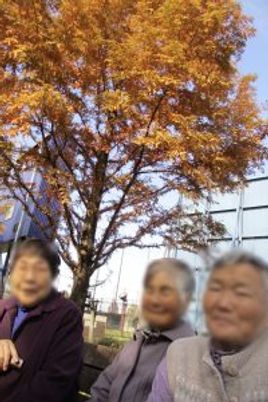 紅葉の下で休憩中の様子