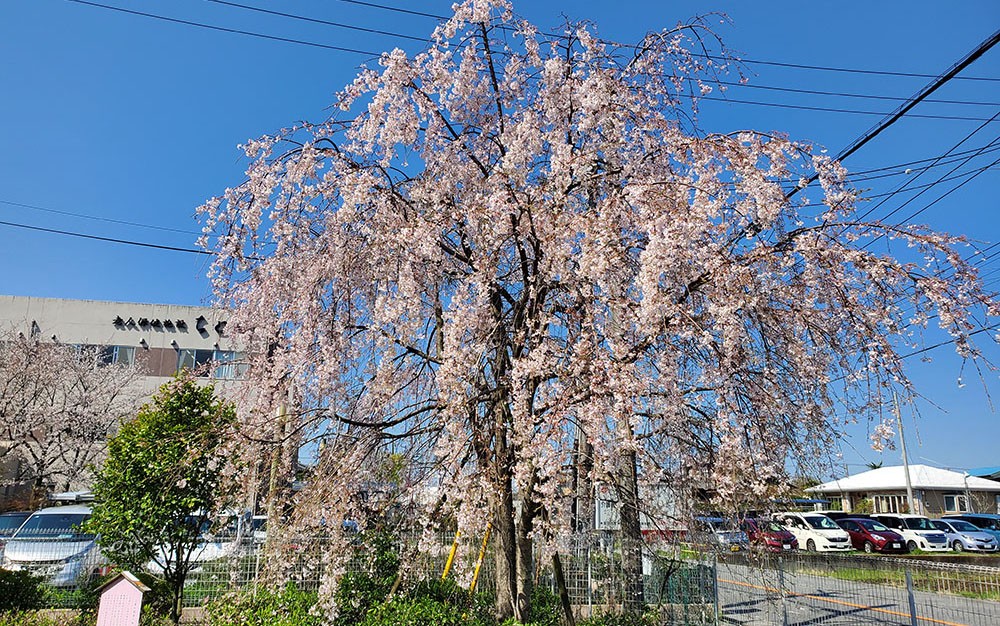 介護老人保健施設 ちとせの外観