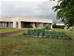 緑豊かな外観の建物