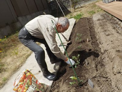 庭のガーデニング