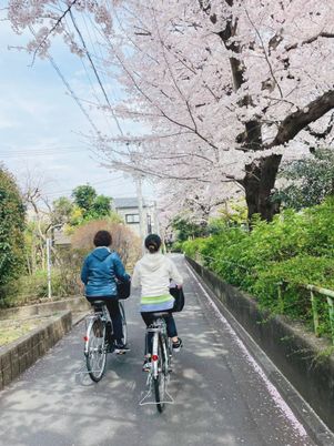 春の散歩道サイクリング