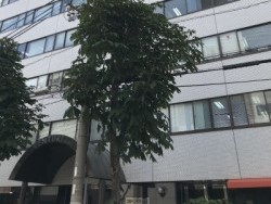 レイズ訪問看護ステーションの外観