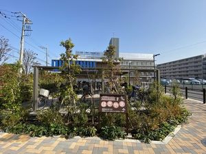 緑に囲まれた建物の外観  