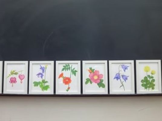 壁の花の作品展示