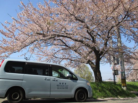 桜並木と送迎車の外観  