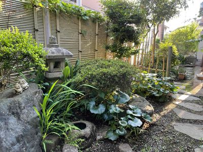 緑豊かな設備の庭