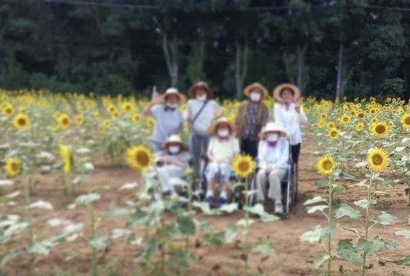 ひまわり畑と利用者の集合