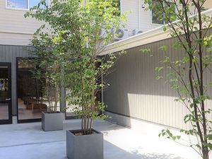中庭の植栽  