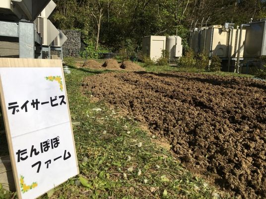 畑と看板の庭  