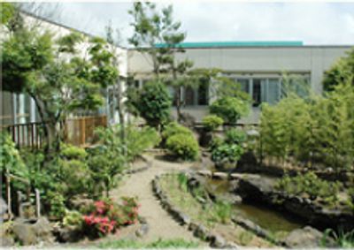 緑豊かな庭園