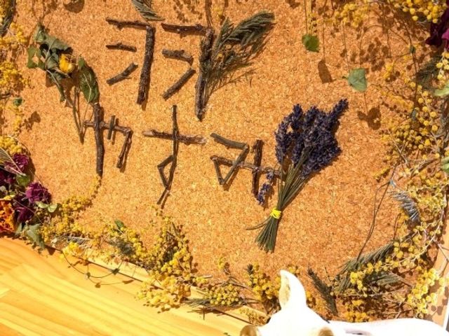 飾り付けの掲示板 掲示物   花材で彩られた掲示板に、文字が丁寧に並んでいます。明るい雰囲気の中で、季節感を感じられる工夫が伝わります。
