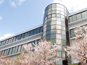 桜とガラス張りの外観  