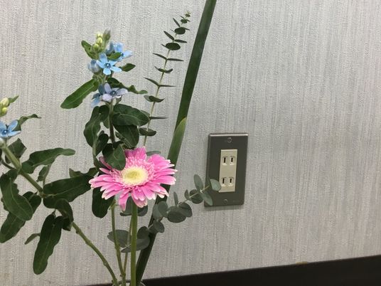 壁際の花飾り  