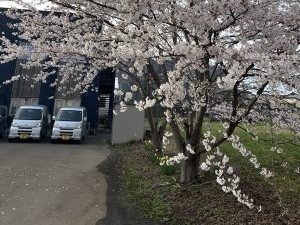 ショートステイ きずなの外観