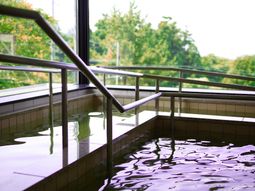 清潔な浴室と自然光