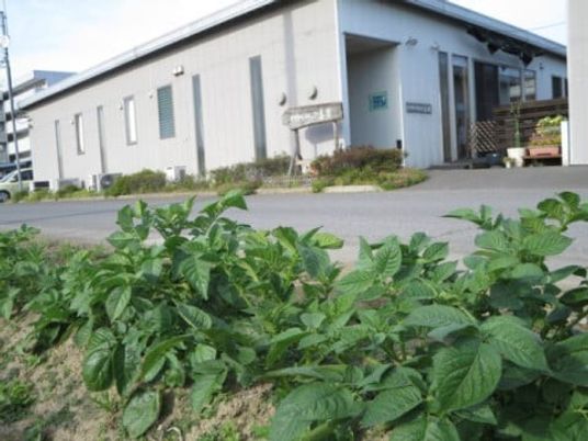 建物外観と植え込みの外観  