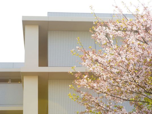 桜が映える建物外観  