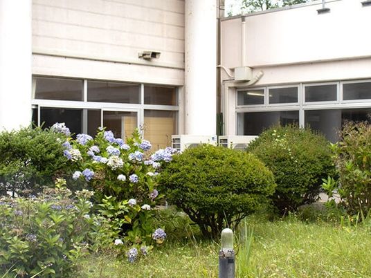 庭の植栽と建物  