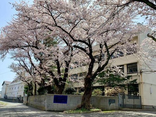 桜並木の外観  