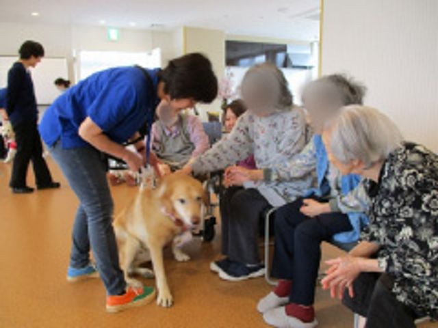 介助犬と交流する人々 ラウンジ 人々が介助犬と触れ合いながら交流を楽しむスペースです。明るく和やかな雰囲気になっています。