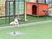 犬がいる中庭  