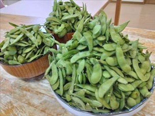 大量の枝豆が置かれた卓上