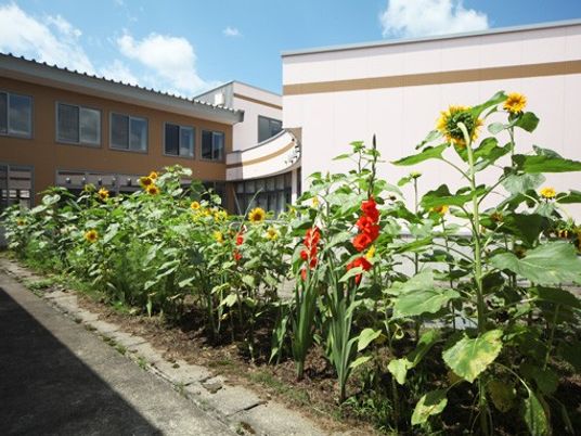 花壇のある中庭  