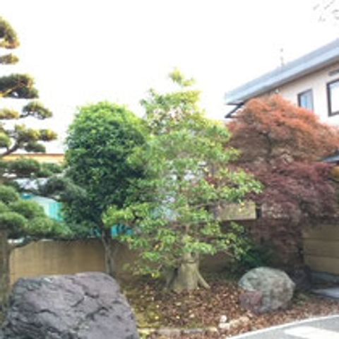 落ち着いた庭