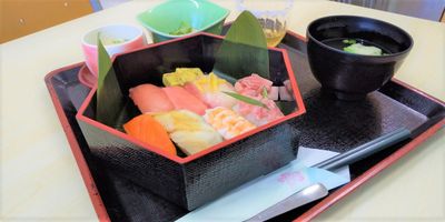 色とりどりの食事トレー