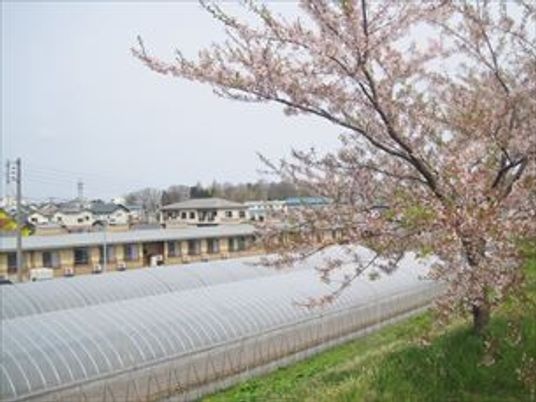 穏やかな環境の外観