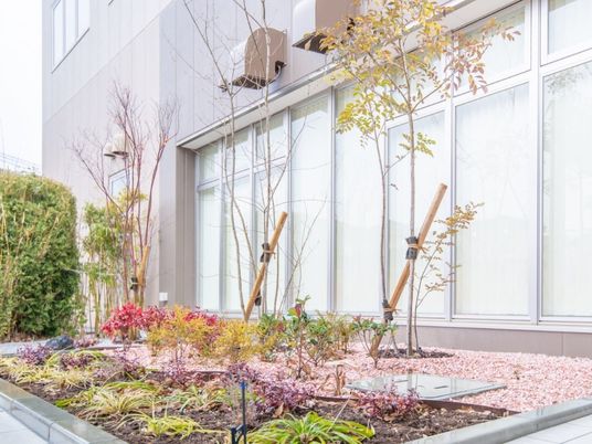 中庭の植栽  