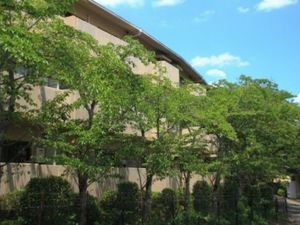 緑に囲まれた建物外観  