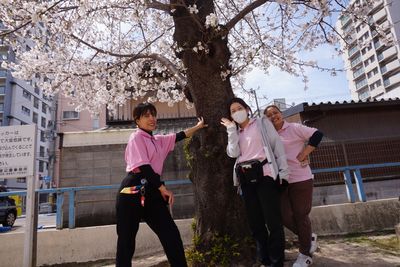 スタッフと桜の様子