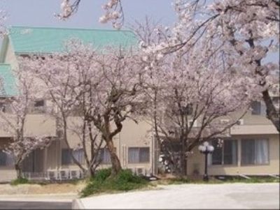 桜に囲まれた建物の外観